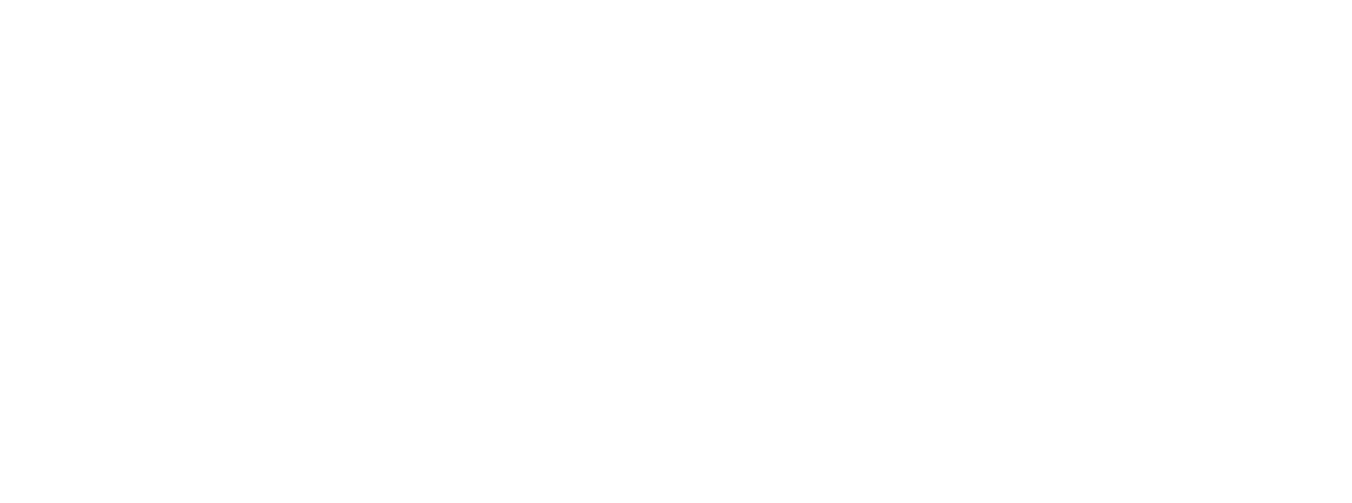 Voss Development